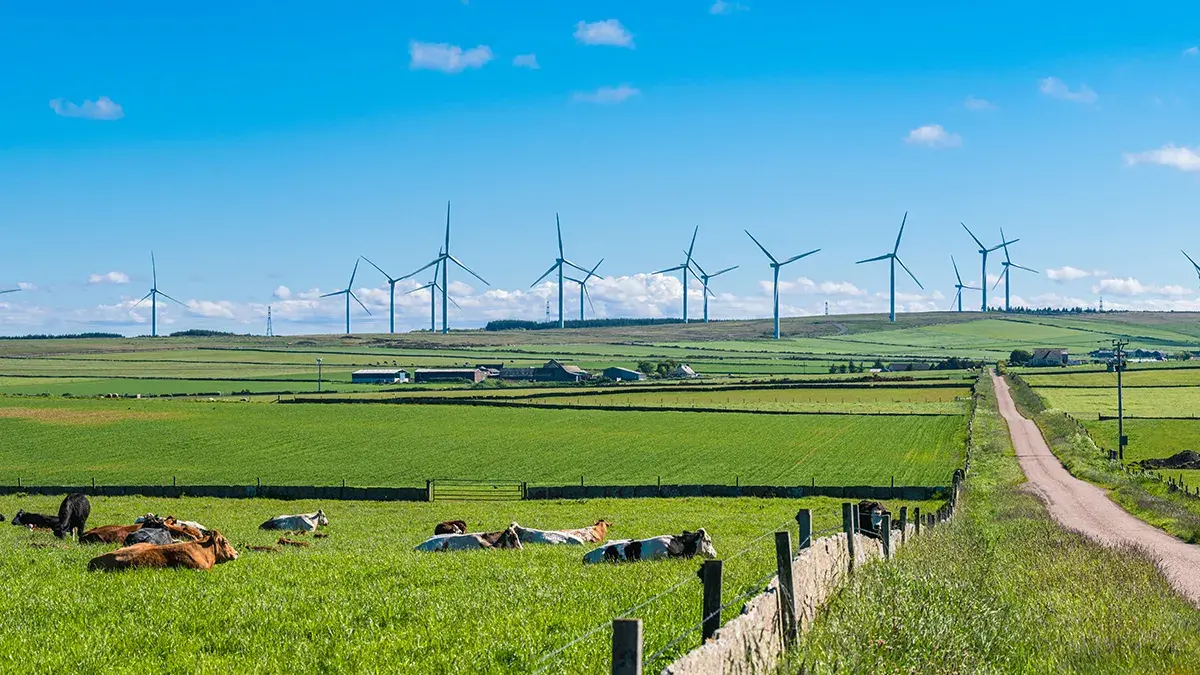 Wind turbines in field