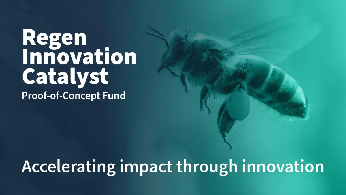 Regen Innovation Catalyst POC