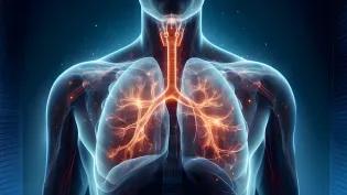 Prothea Technologies lung image
