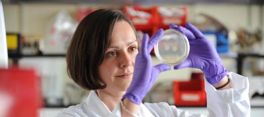 Woman in lab coat and gloves holding up a petri dish