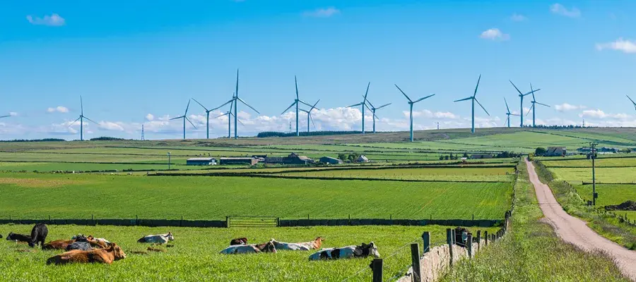 Wind turbines in field